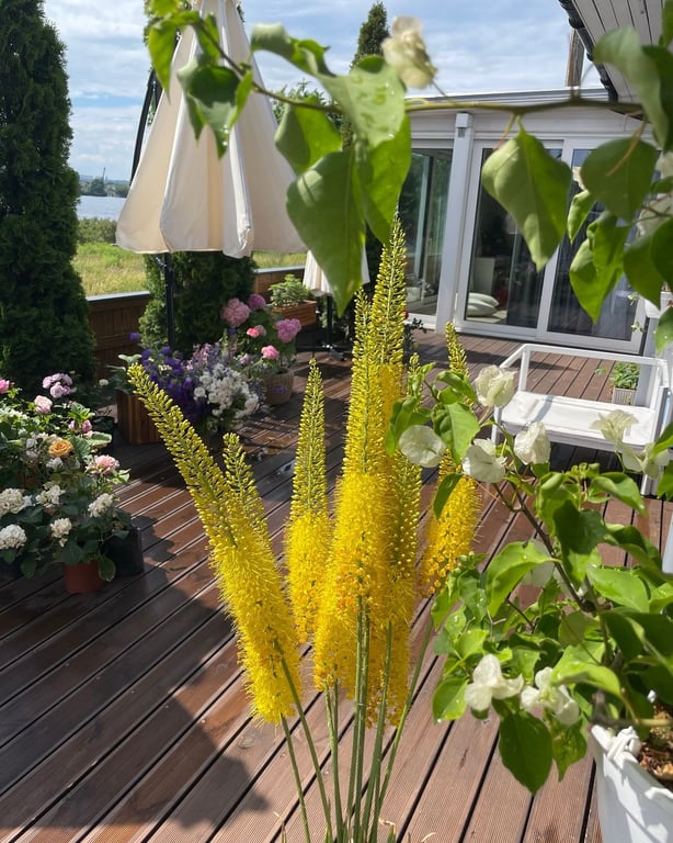 Могилевська у розкішному вбранні показала, як проводить вихідні - фото 5