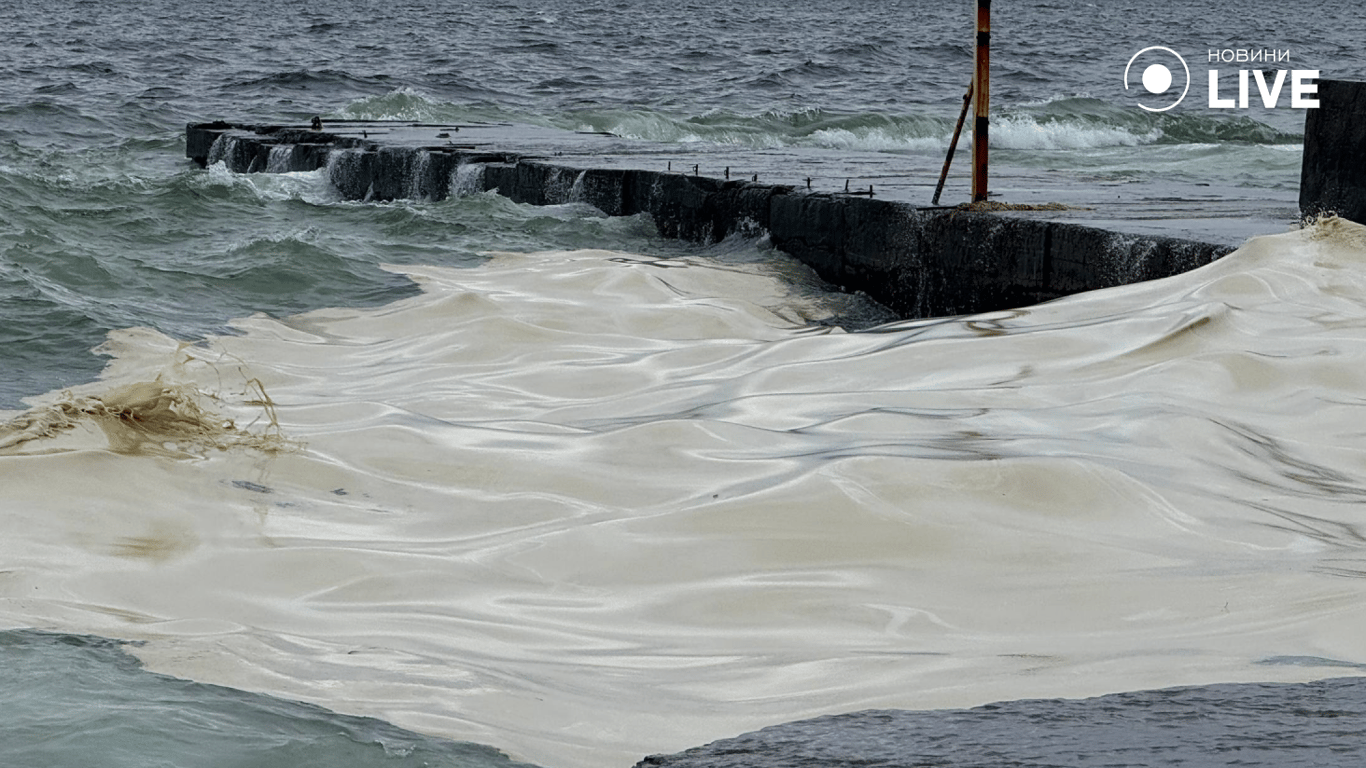 Як російський обстріл спричинив екологічну катастрофу біля Одеси - фото 5