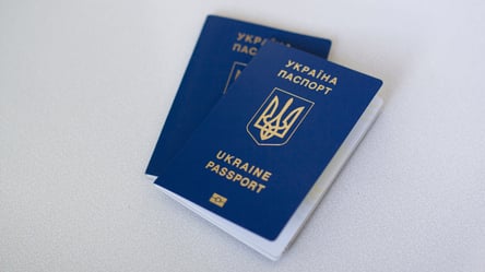 Хто з українців не зможе стати громадянином Німеччини — підстави - 328x184