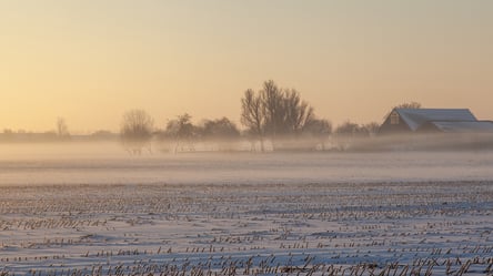 Аренда земли — как владельцам не потерять участок - 285x160