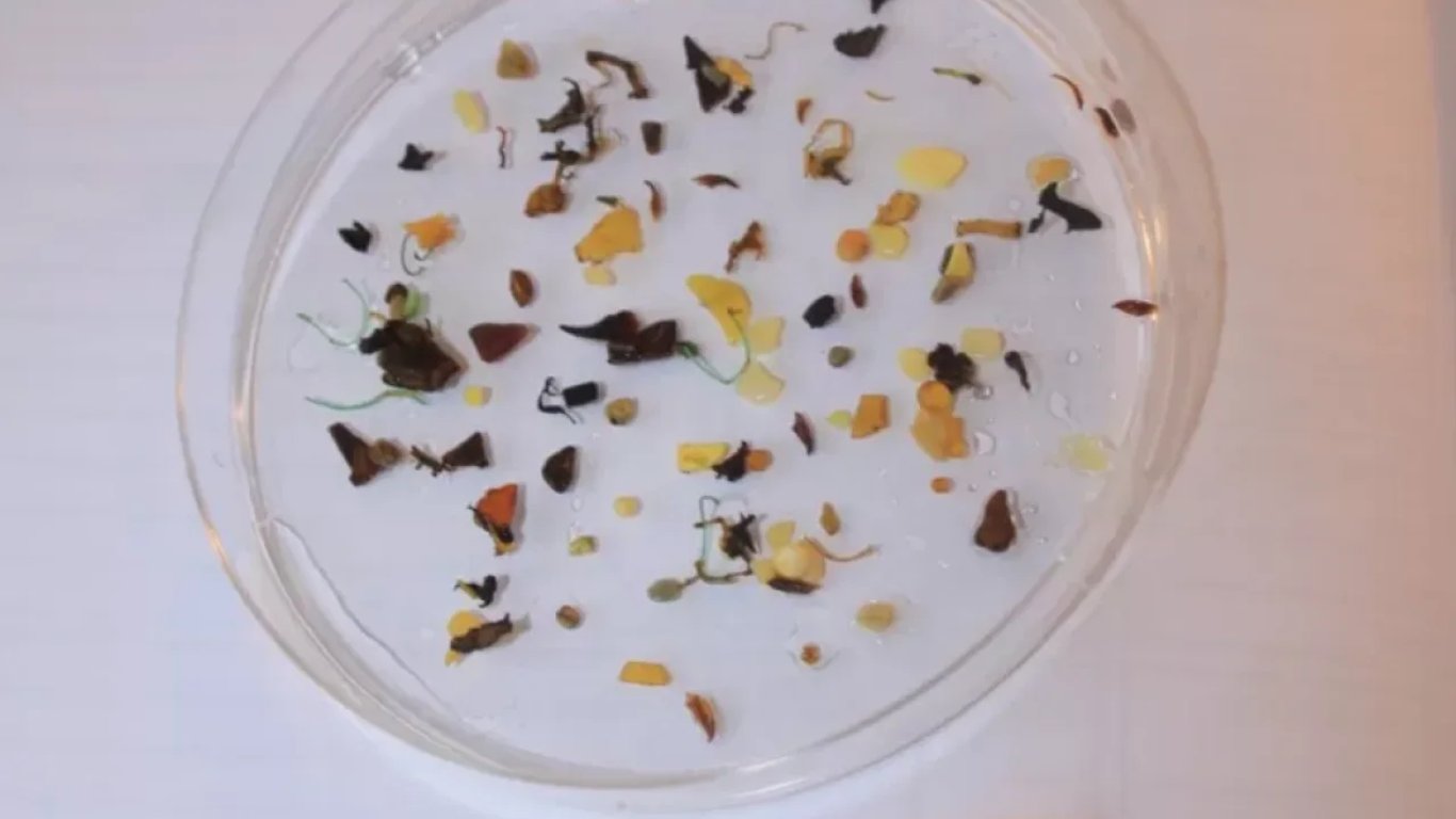 Мікропластик знайшли у снігах Антарктиди та організмі людини