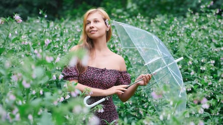 Жара до +38 °С и дожди с грозами — прогноз погоды на сегодня - 285x160