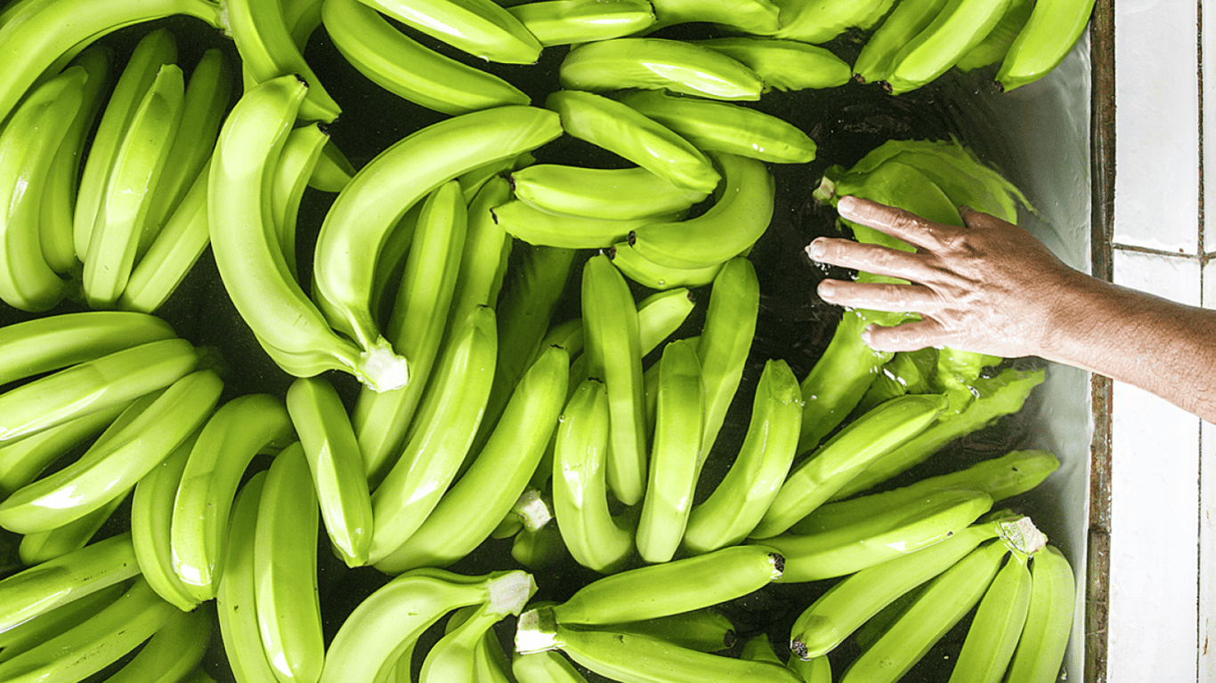 Чем полезны зеленые бананы – медики объяснили их влияние на организм