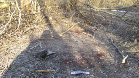От российских обстрелов в Сумской области погибла 19-летняя девушка - 285x160
