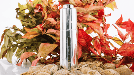 The ideal perfume for Fall 2025 has arrived - 285x160