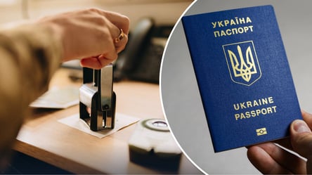 Депортация из Германии и Польши: за что могут вернуть в Украину в августе 2026 года - 285x160