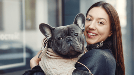 Яка домашня тварина підходить вам — нумерологія підкаже - 290x166