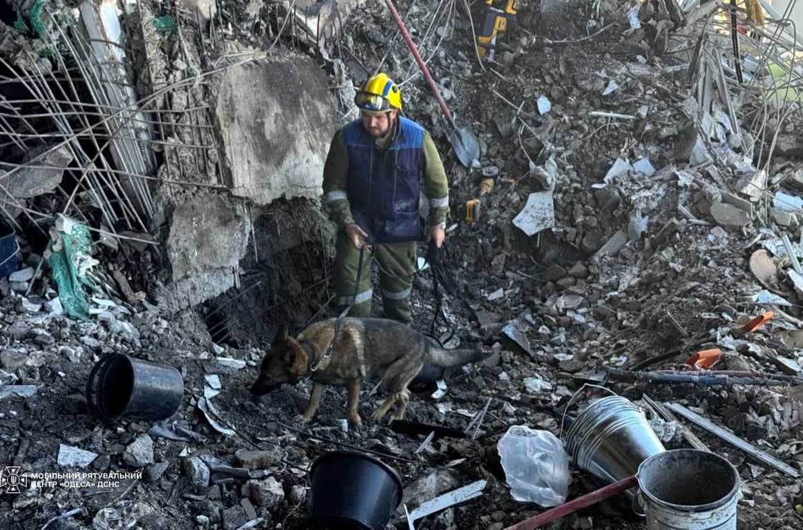 Кінолог із собакою обстежує завали багатоповерхівки в Одесі