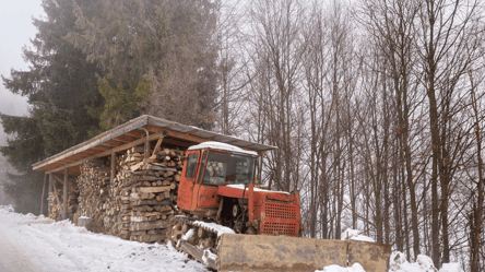 Штраф за дрова и уголь — что должны знать украинцы в Польше - 285x160