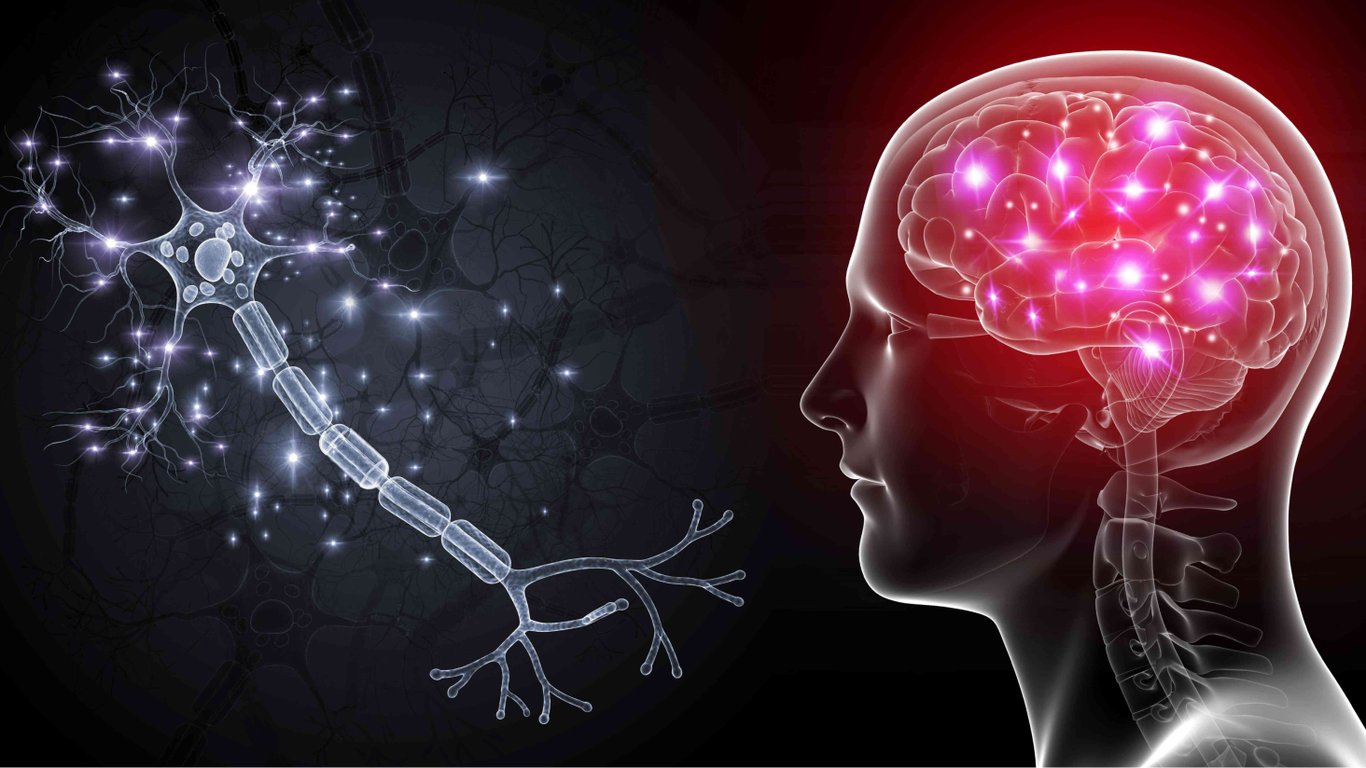Нейроны мозга можно воспроизводить — ученые создали клетки-трансформеры