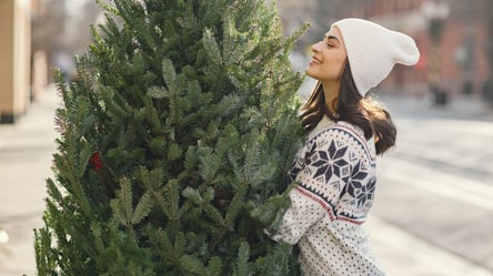 Живая или искусственная елка — как выбрать идеальный вариант - 285x160