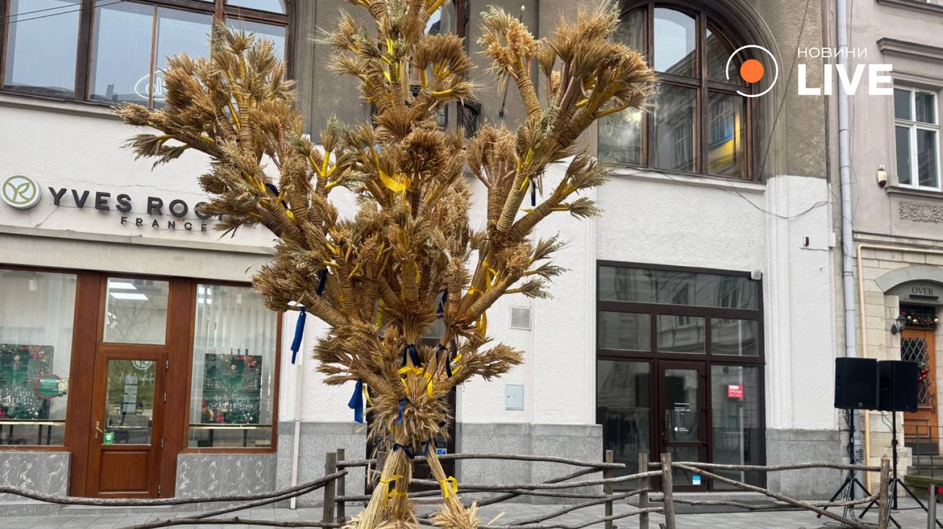 Великан из соломы — Львов установил главный символ Рождества - фото 3