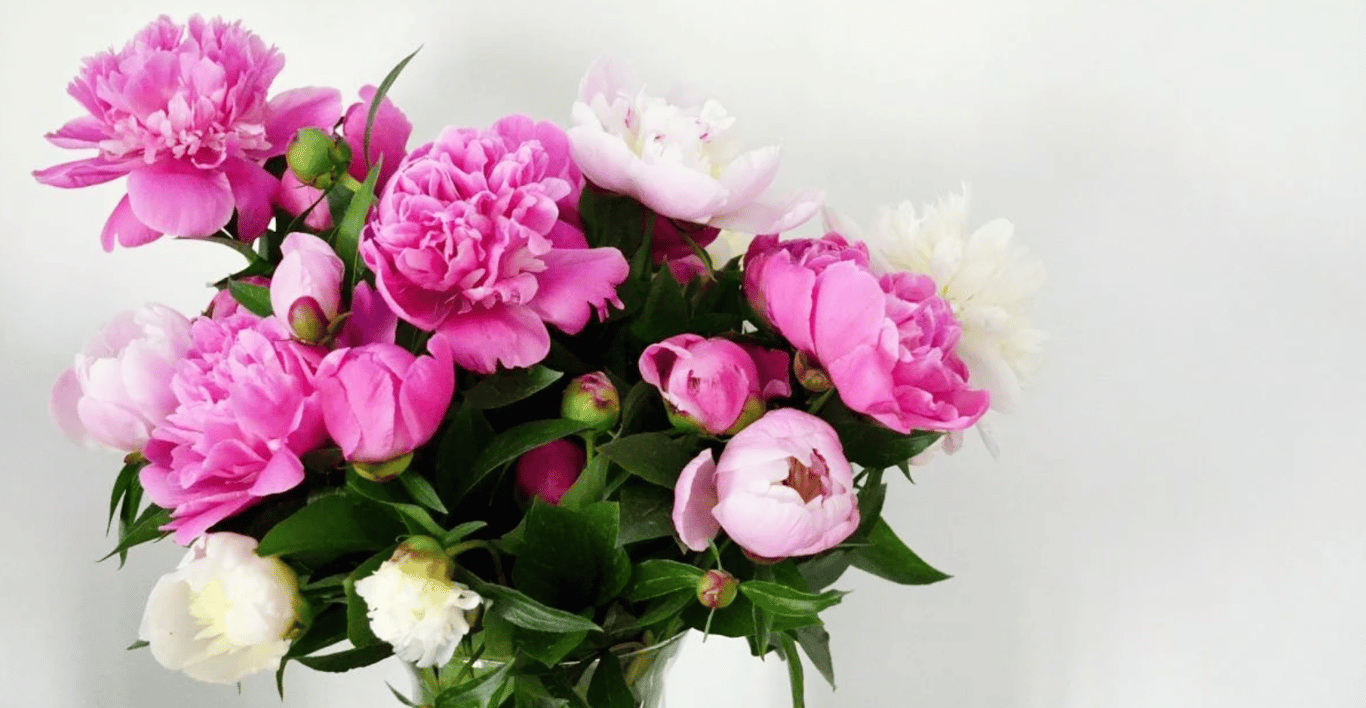 Букет пионов