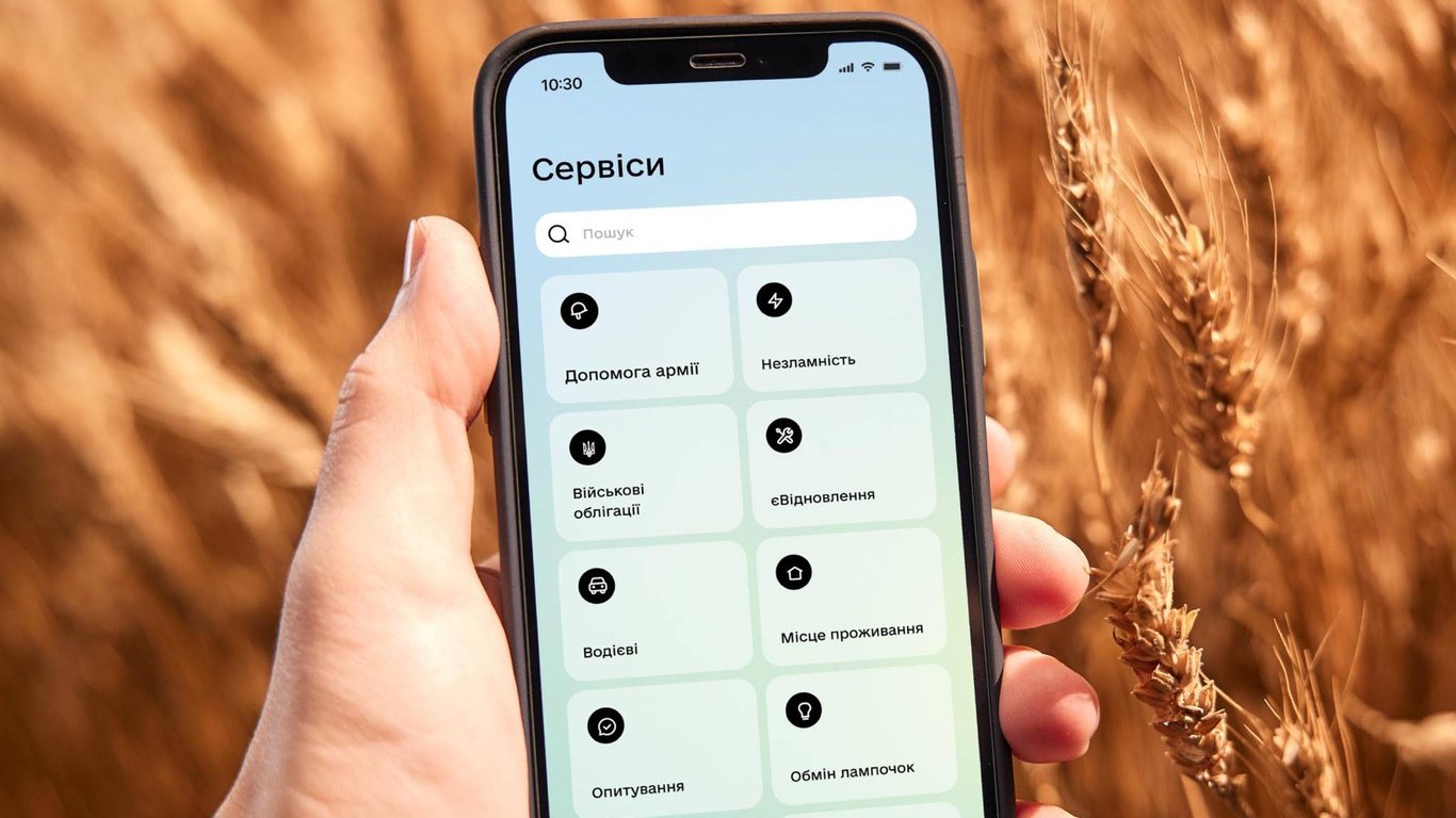 Нові послуги в Дії – чого не вистачає в додатку для українців