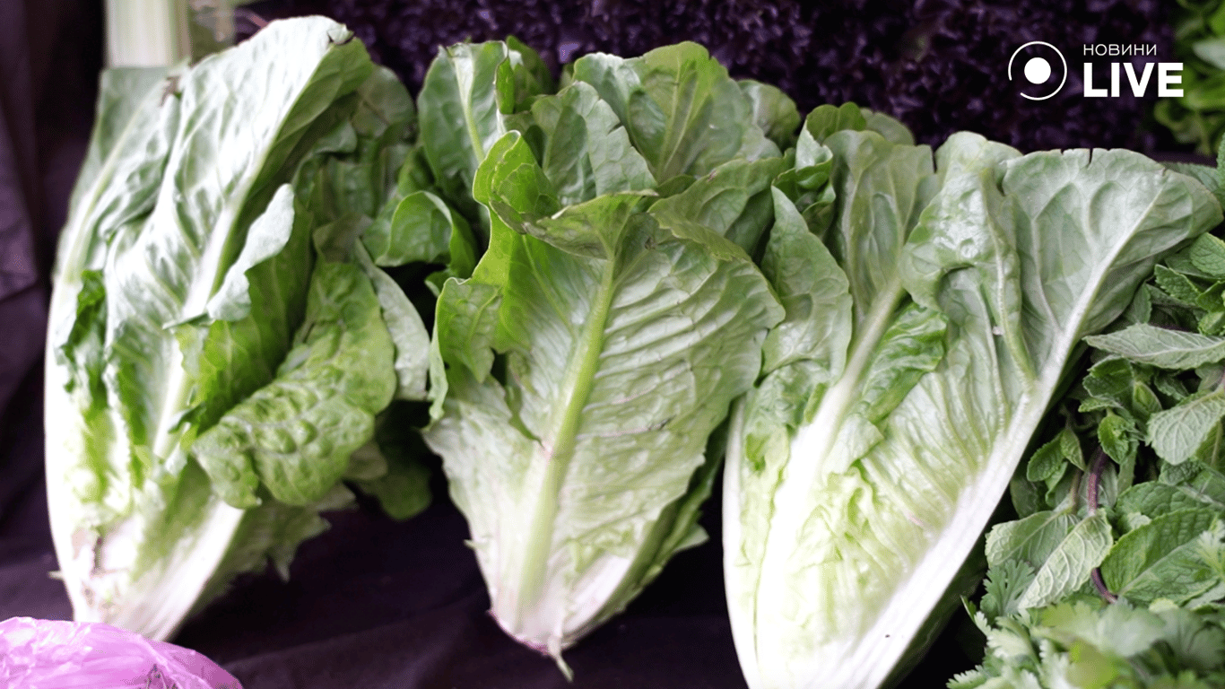 Одеська зелень дорожча за імпорт — чому люди все одно купують - фото 2