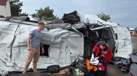 На Миколаївщині маршрутка зіткнулася з вантажівкою: 9 загиблих - 285x160