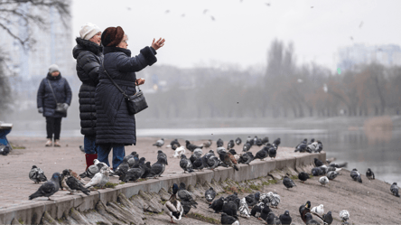 Отдохнем от дождей — Диденко сказала, где завтра распогодится - 290x166