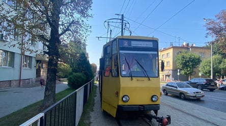Во Львове женщина оказалась в реанимации из-за наезда трамвая - 285x160