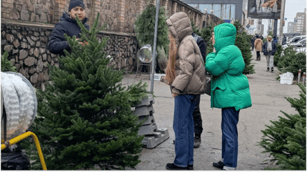 Чи можна перевозити ялинку у метро — правила для пасажирів - 285x160