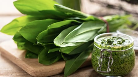 Масло, майонез і песто з часником за 15 хвилин: сезон черемші в розпалі - 285x160