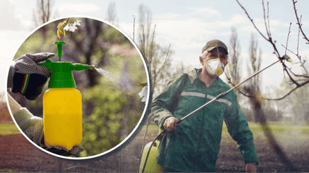 Обработка сада весной — как защитить от вредителей на весь год - 290x160