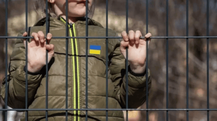 Расследователь рассказал, что РФ делает с украинскими детьми - 285x160