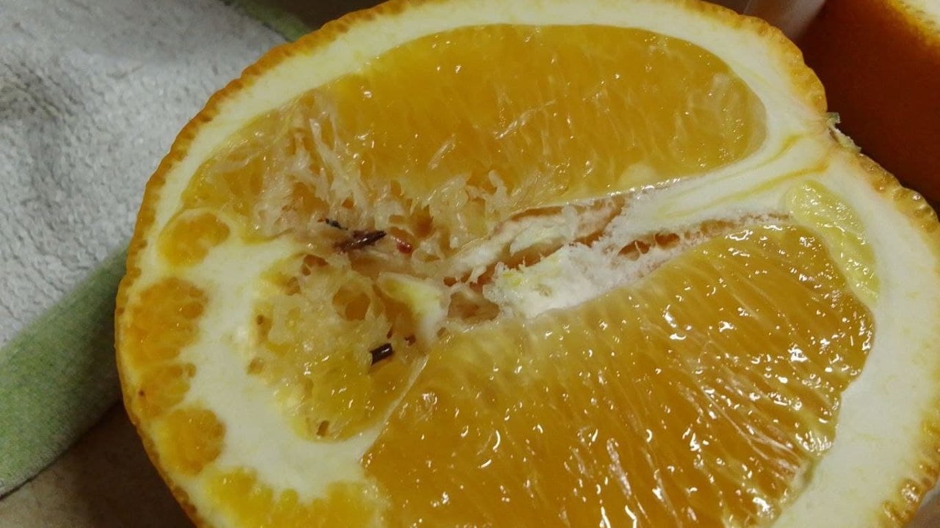 В Одесі продали апельсин з хробаками
