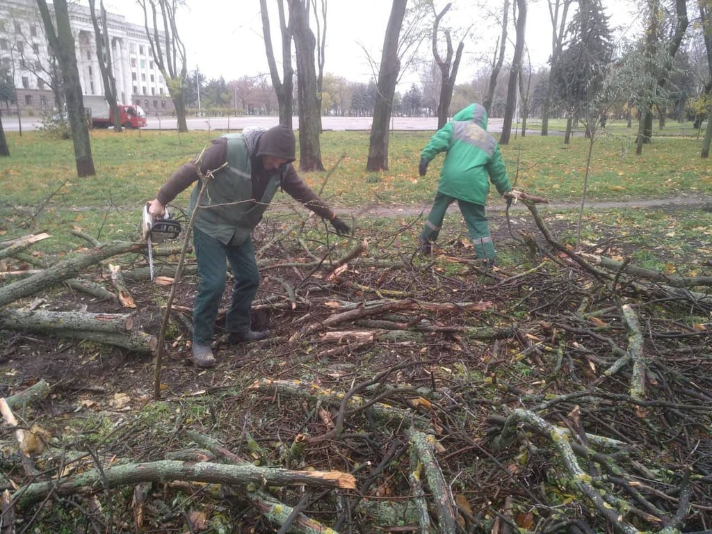 Буревій в Одесі — повалені десятки дерев та гілля - фото 1