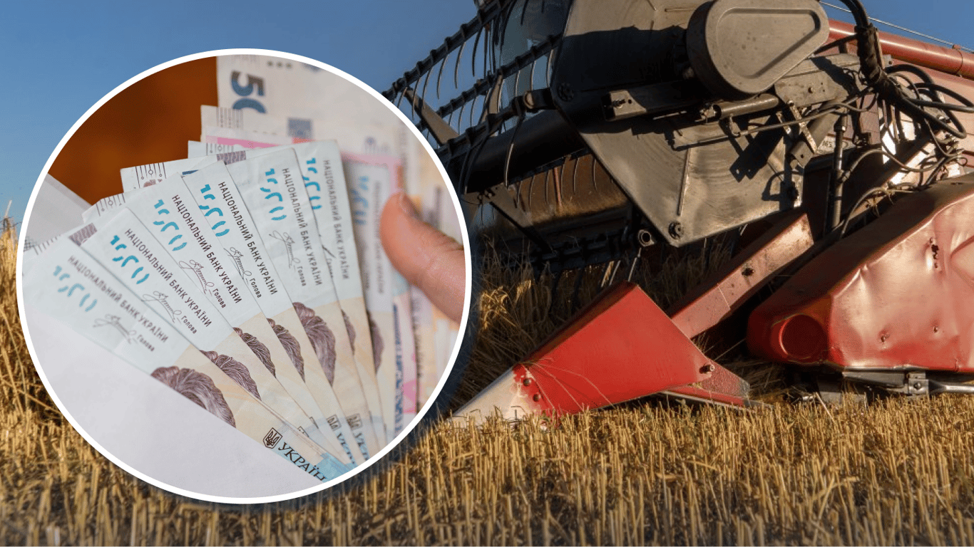 Цены на ячмень в Украине: как подорожала тонна