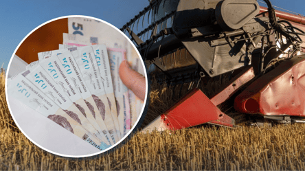 Цены на ячмень: за сколько продают зерновые на экспорт - 285x160