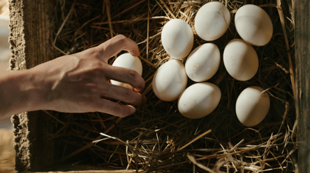 Нове подорожчання — які продукти зростуть у ціні найближчим часом - 290x160