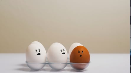 Дієтолог пояснив, навіщо їсти п'ять яєць кожного дня - 285x160