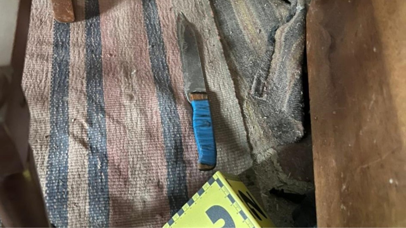 В Одесской области произошла резня: приревновал брата к жене