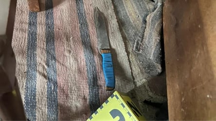 На Одещині сталася різанина: приревнув брата до дружини - 290x160