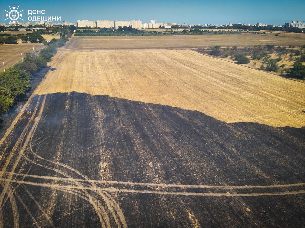 Пожежа під Одесою — згоріло 10 гектарів землі - фото 2