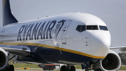 Пасажирам Ryanair рекомендують брати в літак картонні коробки - 290x166