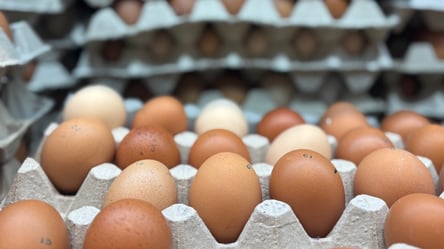 Дорогі яйця — як відрізняються ціни в Україні, Італії, Угорщині та Польщі - 285x160