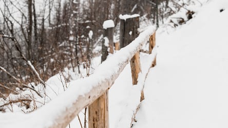 Паркан між сусідами — коли можуть примусово демонтувати огорожу - 285x160