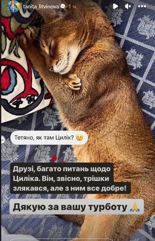 Зірка "МастерШеф" Тетяна Літвінова подякувала підписникам за підримку. Фото: instagram.com/tanita_litvinova/