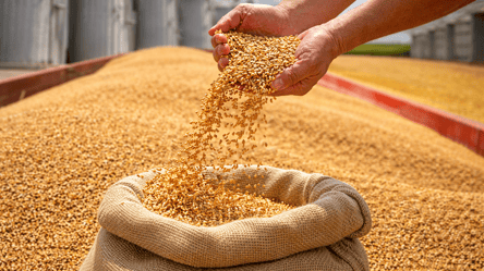 Росія вивезла з України 2 млн тонн зерна — хто головний покупець - 285x160