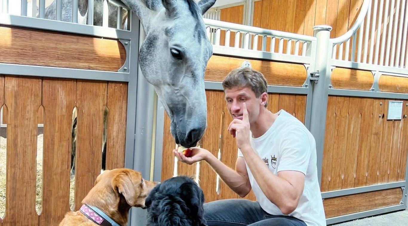 Томас Мюллер