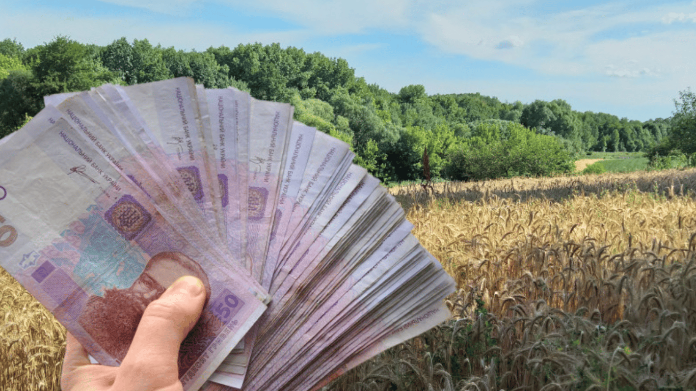 Власники городів можуть отримати по 3300 грн за сотку: кому передбачена допомога