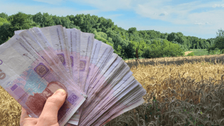 Власники городів можуть отримати по 3300 грн за "сотку": кому передбачена допомога - 285x160
