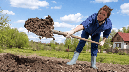 Коли починати городні роботи після Великодня: поради та традиції - 285x160