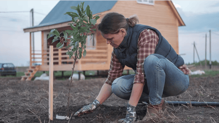 Когда сажать фруктовые деревья — лунный календарь на октябрь 2025 - 285x160