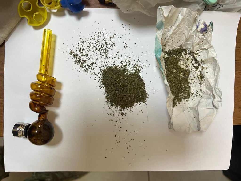 Спаниель помешал развлечениям — пограничники задержали одесситку - фото 2