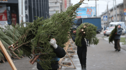 Ялинкові ярмарки у Києві — коли запрацюють - 285x160