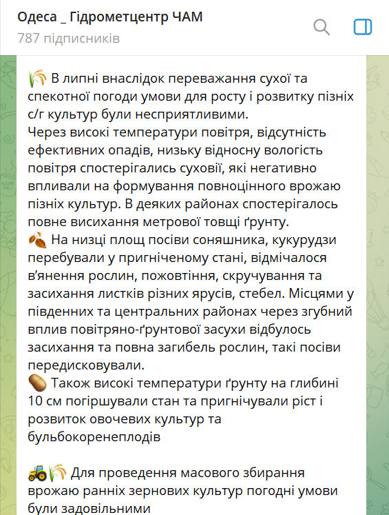 Спека і суховії — як липень ударив по врожаю на Одещині - фото 1