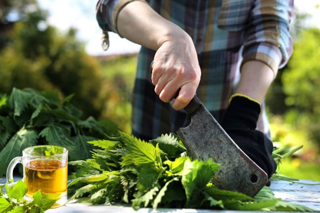 Нарезание крапивы