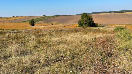 Чи можна узаконити землю та дім під час війни - 290x166